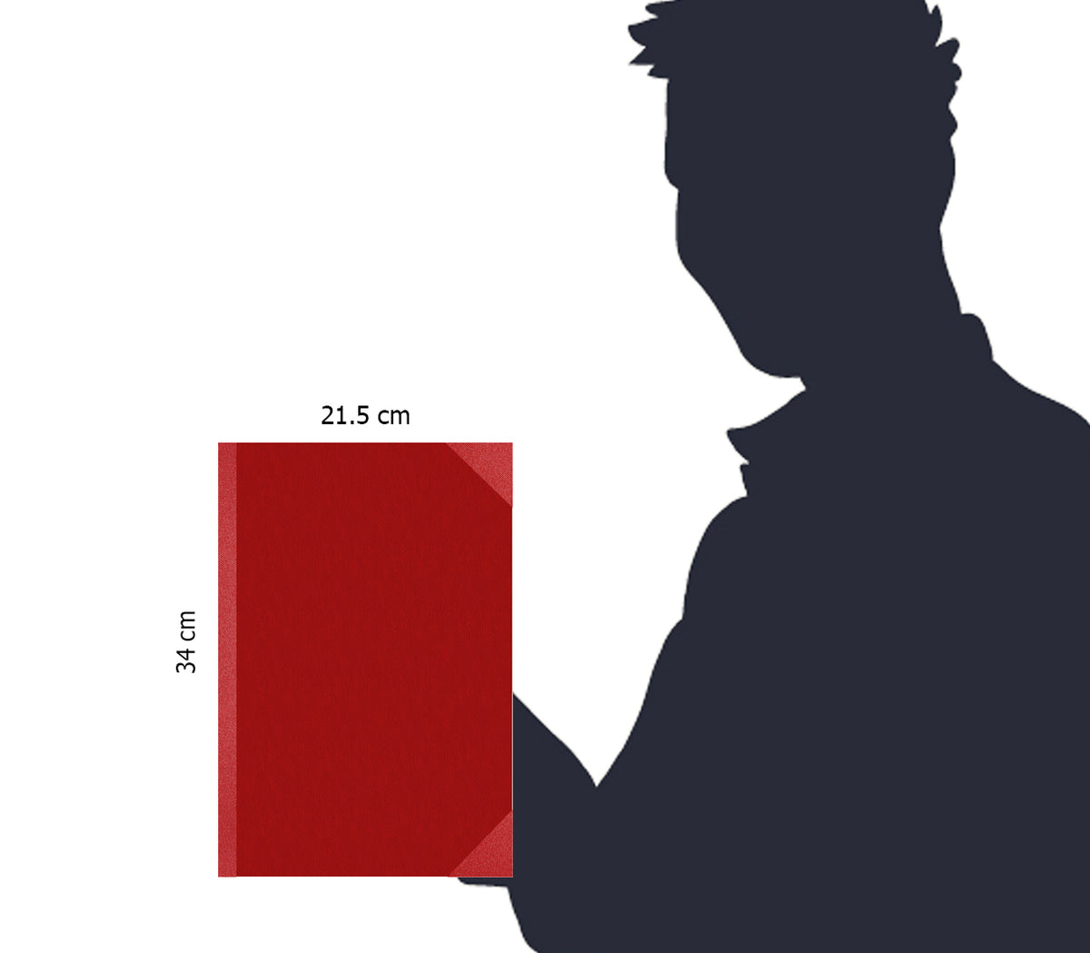 Ruled Register (Red Binding)