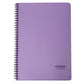 Trison Spiral Executive Notebook No. 6 / A4 (21 X 30 cm)